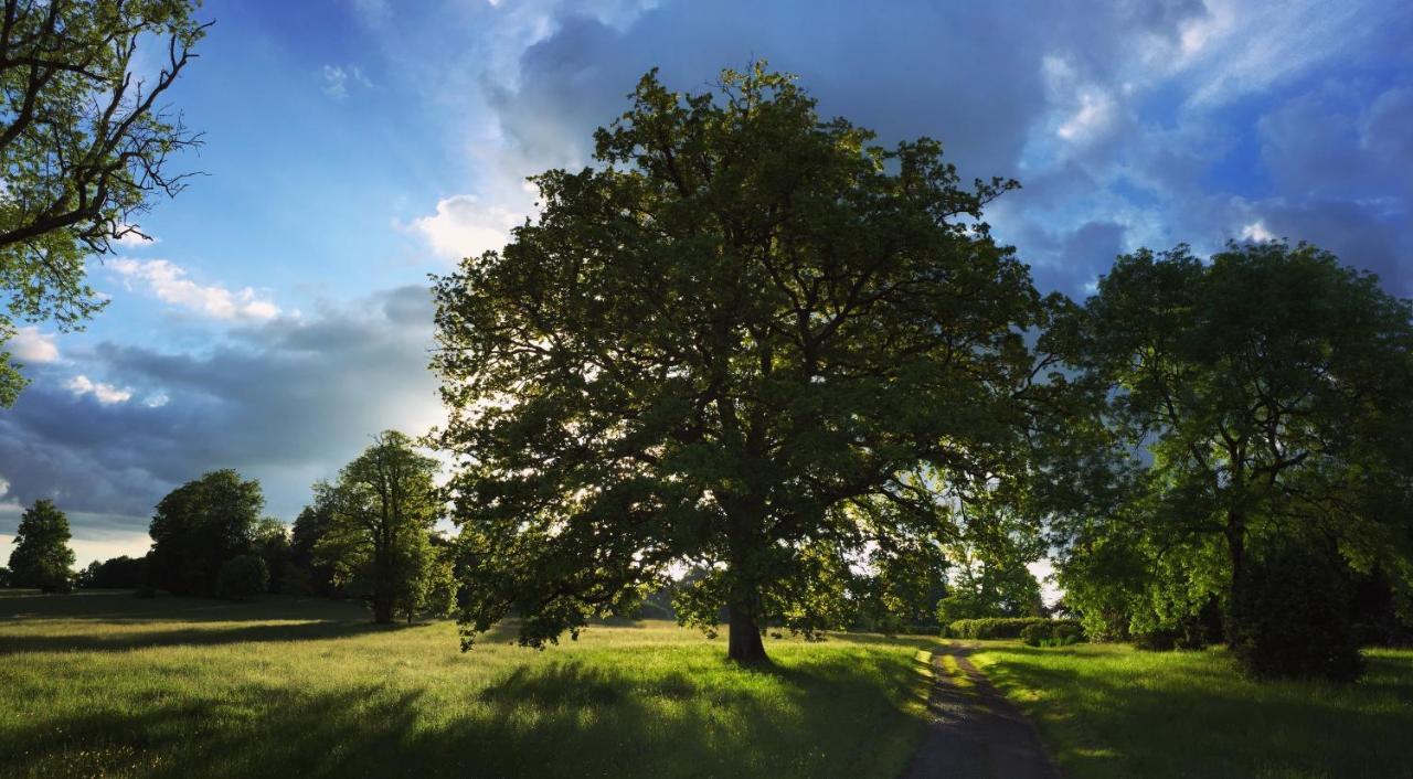 Вилла La Tiny Du Parc : Saint Symphorien Des Monts Ernee Экстерьер фото